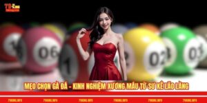 Mẹo Chọn Gà Đá - Kinh Nghiệm Xương Máu Từ Sư Kê Lão Làng