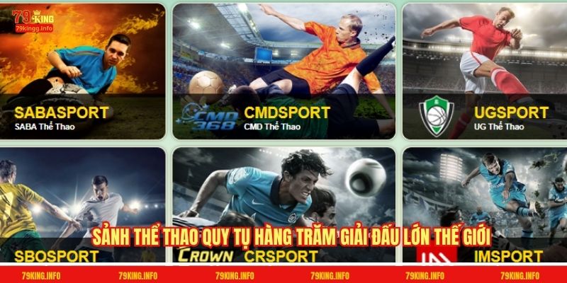 Sảnh Thể thao quy tụ hàng trăm giải đấu lớn thế giới