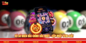 Xổ Số Miền Bắc Chính Xác Nhất - Cập Nhật Từng Giây